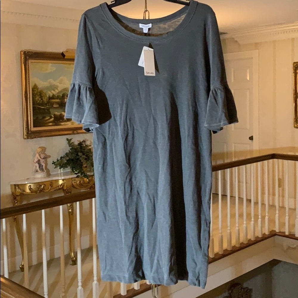 Splendid T-Shirt Cotton Dress With Flounce Sleeve